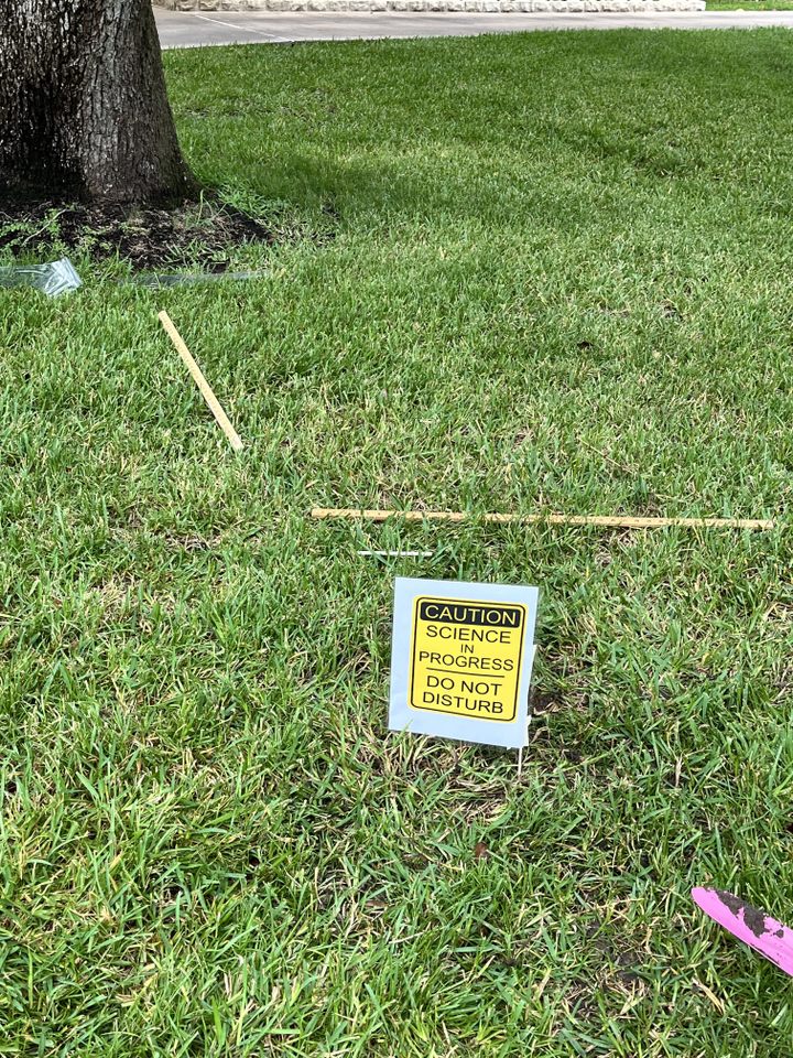 All over campus, students buried underwear provided by UT Austin for more than two months and observe its decomposition after digging it back up. 