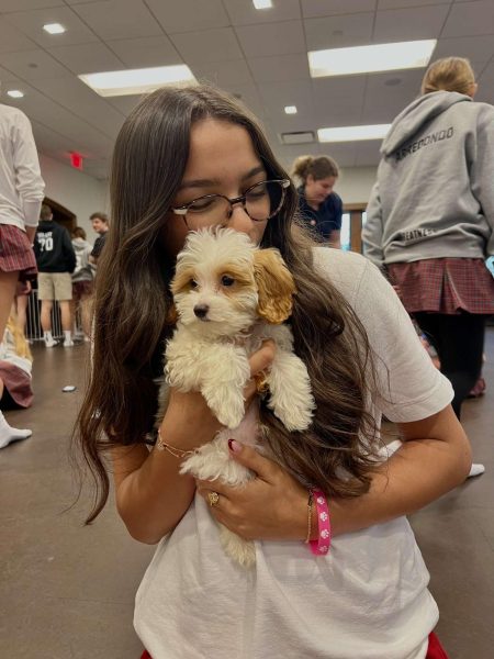 Junior Caroline Basu cuddles with one of the six goldendoodle puppies brought by the Puppy Yoga Club this February. Courtesy of Caroline Basu